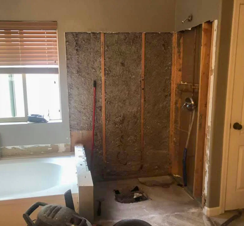Bathroom stripped to the studs before remodel